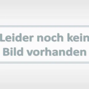Umlenkplatte (UP)