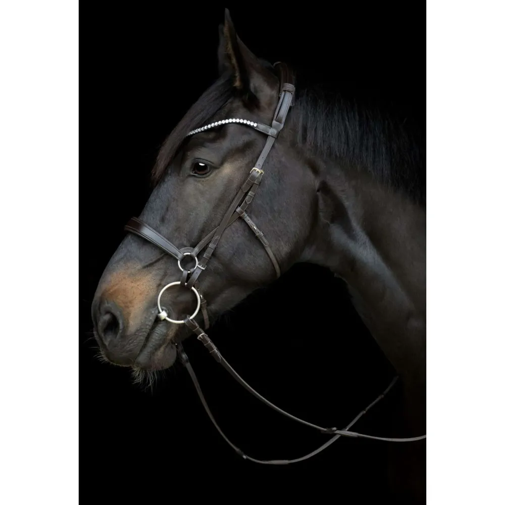 Catago Connecting Rings Gentle Schwarz