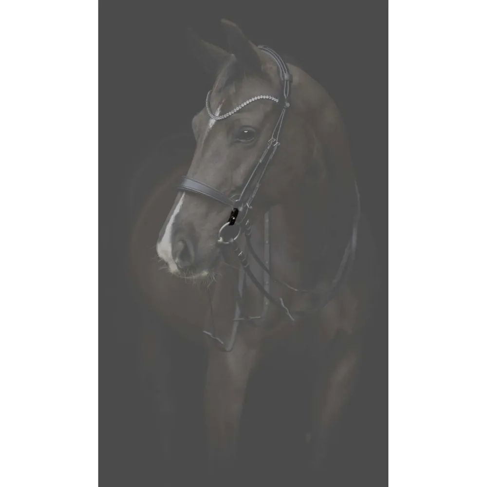 Catago Connecting Rings Gentle Schwarz