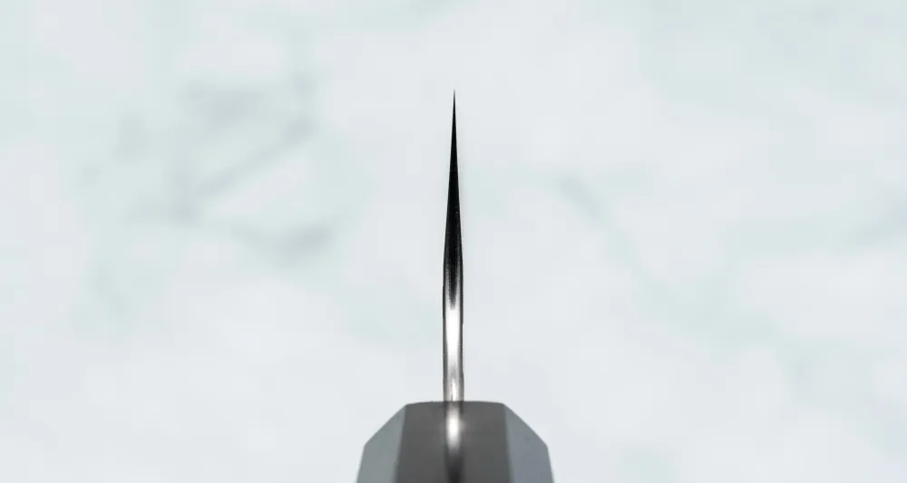 Nigara Gyuto SG2 Tsuchime Wa Ebenholz 210 mm (8,3 Zoll)